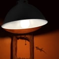 thumbnail image 3 of Miangastore Reptile Reflector Lampshade Anti-Scald Lampshade Reptile Box Heating Lamp Protective Cover, 3 of 8