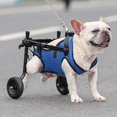 thumbnail image 3 of Adjustable Dog Wheelchair Hind Limb Hind Leg Disabled Pet Cat Dog Mobility Aid Trolley Legs Rehabilitation Light Pet Walk Tools ShopWise Round, 3 of 5