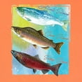 thumbnail image 2 of Wild Bobby, Atlantic Chum Sakeye Salmon Fish Trio, Fishing, Front and Back Garment-Dyed Short Sleeve Tees, Neon Orange, 2XL, 2 of 3