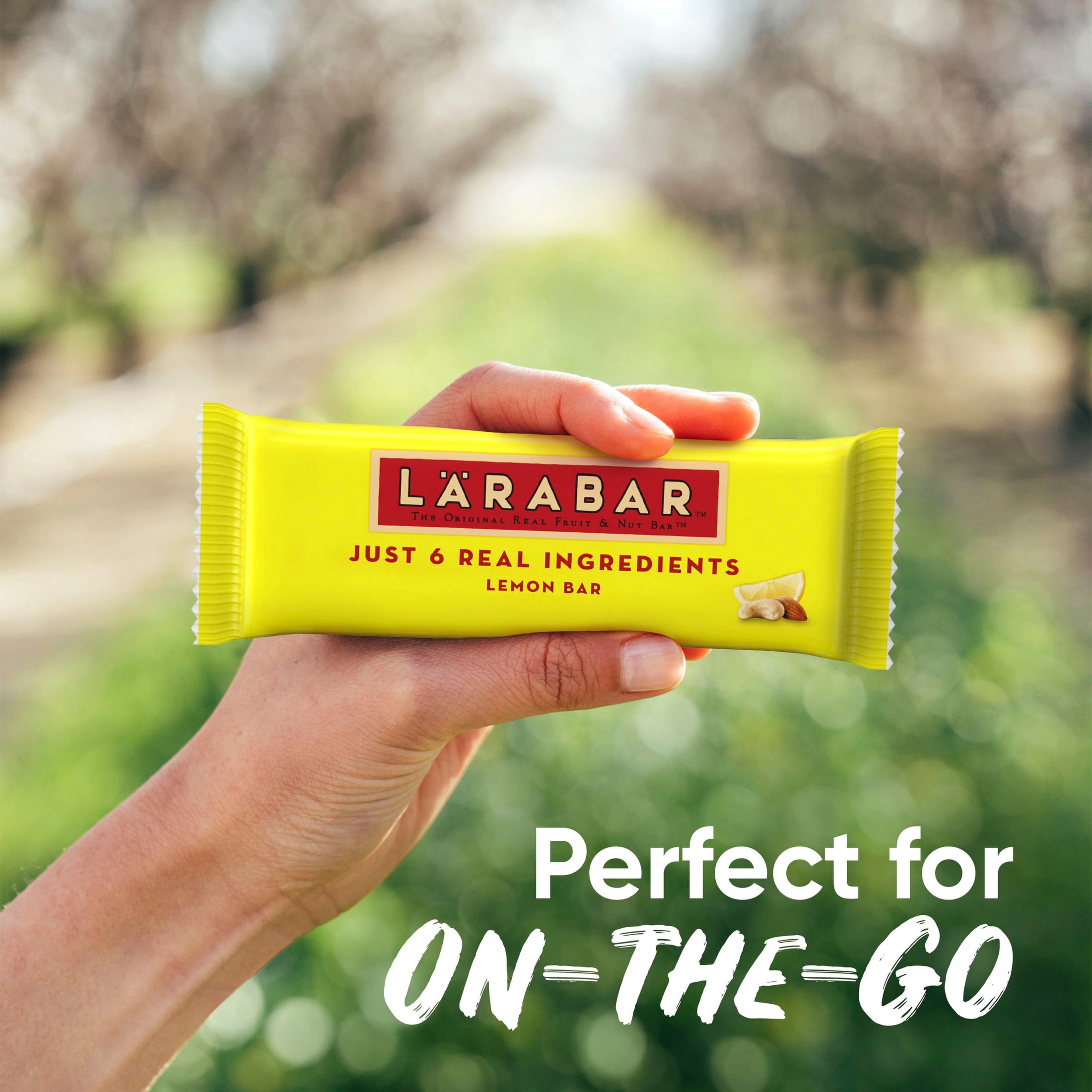 (6 pack) Larabar Lemon Bar Fruit and Nut Bars, Gluten Free and Vegan, 19.2 oz, 12 Count