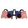 Partypro 60371 Patriotic Fanci-Frames Glasses (1/Pkg)