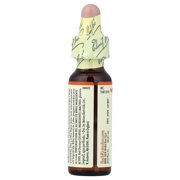 Bach Original Flower Remedies, Red Chestnut, 0.35 fl oz (10 ml)