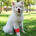 thumbnail image 2 of 12 Rolls Self Adhesive Stretch Bandage Wrap 2 Inch x 6 Yards, Adherent Cohesive Vet Tape for First Aid, Wrist and Ankle Swelling, Animals, Pets, Sports (6 Colors), 2 of 7
