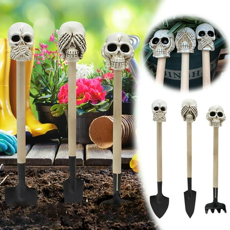 

New Resin Gardening Tool Set Hot Meats 20 Pounds 50 Lb Bag Pumpkin Oil Bulk Covering No Sprout Sorter And Storage Pumpkin Milk Organic Finger Lime Fruit Pods for Garden Indoor Vintage Packets