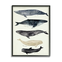 Stupell Industries Antique Whale Chart Large Vintage Nautical Animals Vintage Painting Black framed Art Print Wall Art, 11 x 14, Design by Victoria Barnes