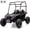 Black, variant on Acekid Black 24V Ride On UTV for Ages 3+, 2-Seater 4WD Electric Truck with Remote Control, LED Lights & Music Player