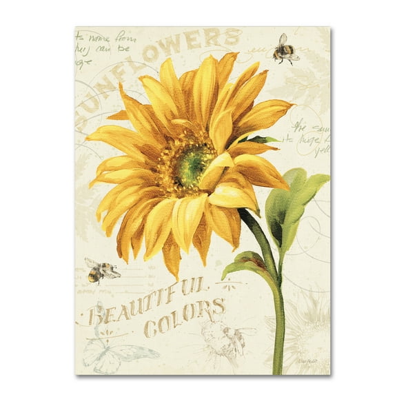 Lisa Audit 'Under the Sun II' Canvas Art