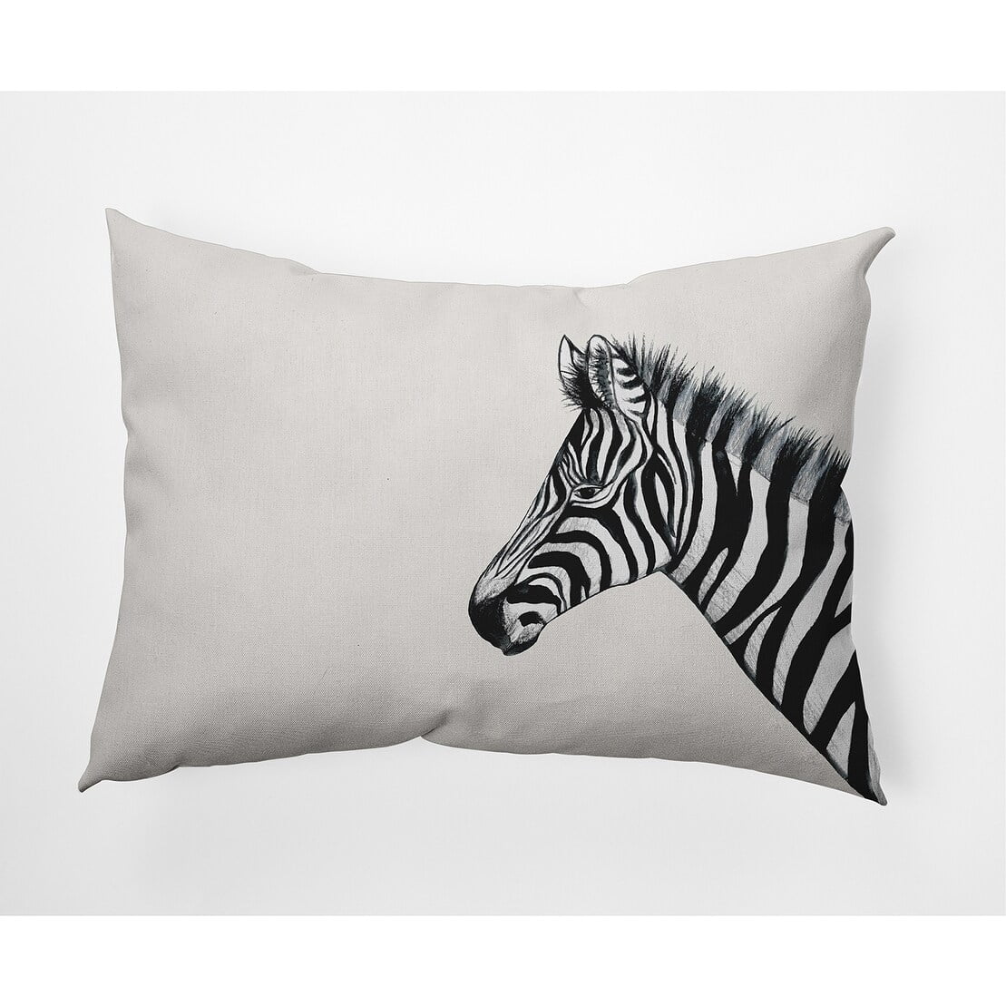 Simply Daisy Zebra Outdoor Pillow, Off-White/Black, 20 in x 20 in