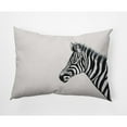 thumbnail image 3 of Simply Daisy Zebra Outdoor Pillow, Off-White, 18 in x 18 in, 3 of 5