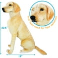 thumbnail image 6 of Leanna the Labrador | 30 Inch Stuffed Animal Plush | By TigerHart Toys, 6 of 7