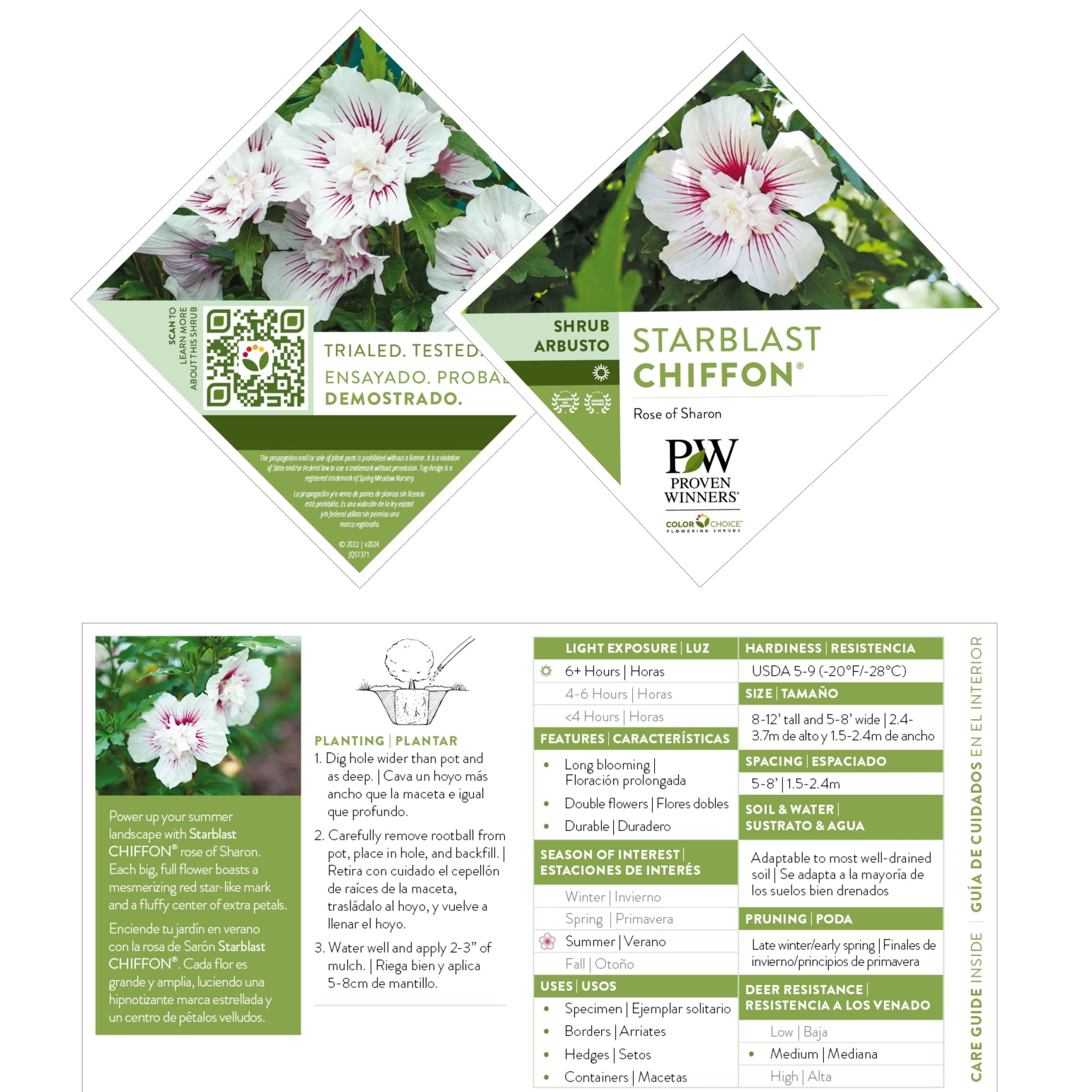 Proven Winners ColorChoice Starblast Chiffon Hibiscus Live Shrub (2 Gallon)