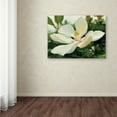 thumbnail image 3 of Trademark Fine Art 'Majestic Magnolia' Canvas Art by Julia Purinton, 3 of 3