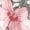 Red, variant on Povozer Toddler Girl Clothes Newborn Baby Girl Clothes Set Floral Patchwork Long Sleeve Tops Casual Long Pants Spring Fall Outfit,Size 12-18 Months,Red