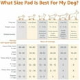 thumbnail image 4 of Basics Leak-Proof Dog and Puppy Potty Training Pee Pads with Quick-Dry 5-Layer Super Absorbent Design for Housebreaking, Regular Size 22x22", Blue & White, 150 Count, 4 of 6