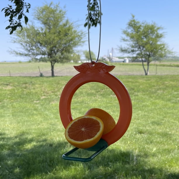 Songbird Essentials Oriole Vogelfutterstation Bundle – Mit Geleespendern & Ameisengraben