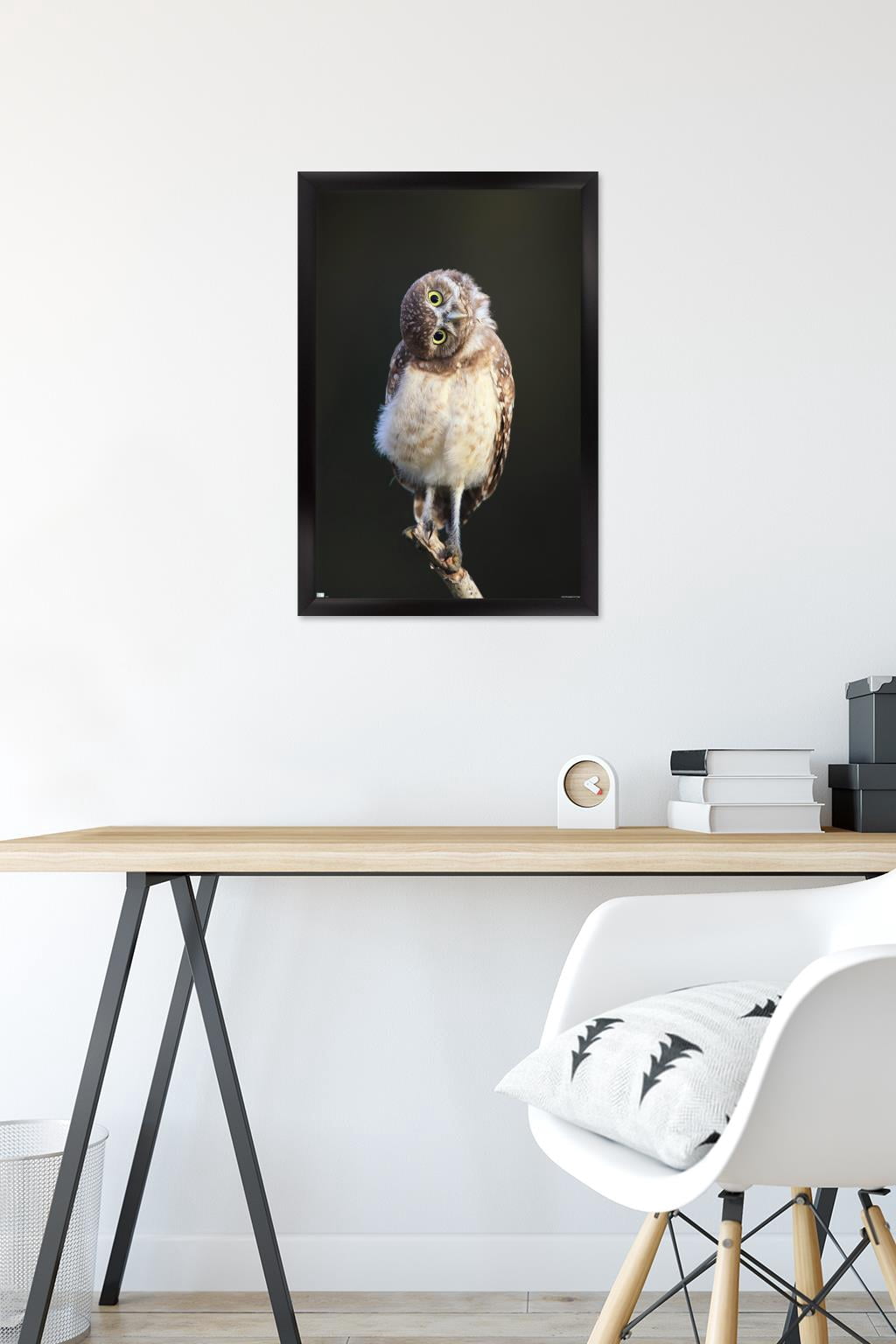 Curious Burrowing Owlet Wall Poster, 14.725" x 22.375" Framed