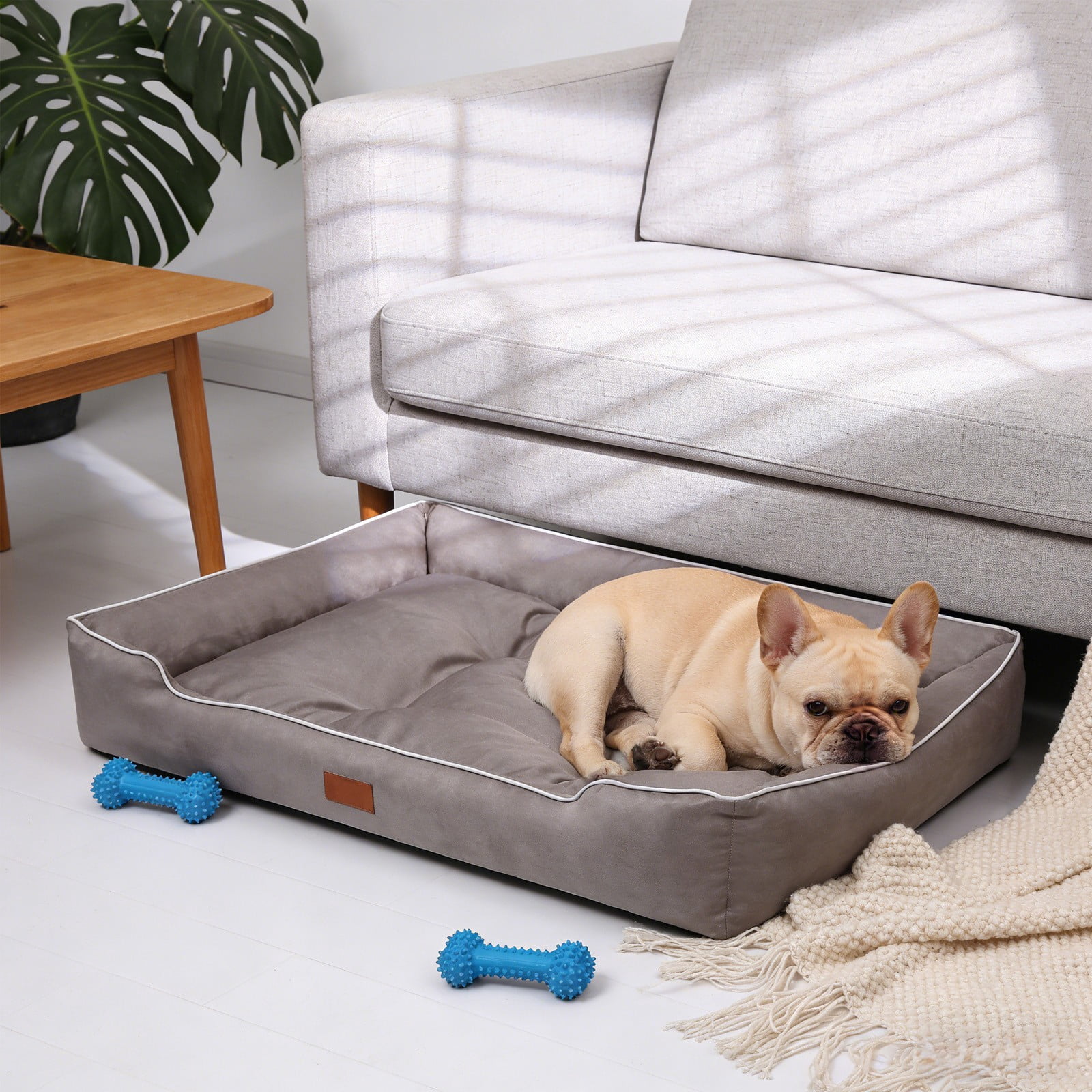 FeiFu Waterproof Non-Slip Rectangle Dog Bed Soft Flannel Pet Mat for Small Dogs Cats Under 55 LBS Durable Comfortable Rest Pad Indoor Outdoor