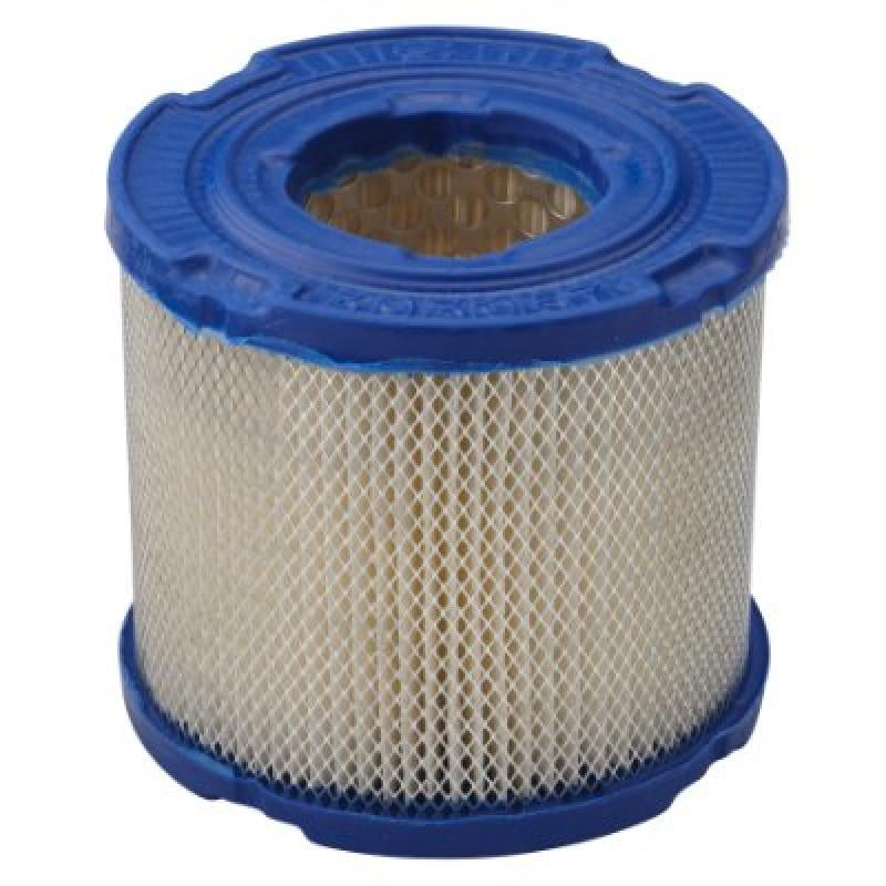 Briggs & Stratton 393957S Round Air Filter Cartridge Walmart Canada