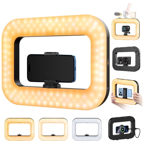 Cell Phone Light for Video Recording, Handheld Phone Stabilizer with Light, 8000mAh LED Selfie Phones Ring Light with Phones Holder, Smartphone Video Rig for Camera, Action Camera