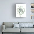 thumbnail image 2 of Trademark Fine Art 'Eucalyptus III Cool' Canvas Art by Danhui Nai, 2 of 4