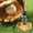 🔥 Beige_Base#7943, variant on Baseball Softball Championship Ring Display Case | Homeplate Stacking Ring Holder | Personalized Wooden Stand for Sports Memorabilia | Secure Keepsake Organizer | 1 Piece