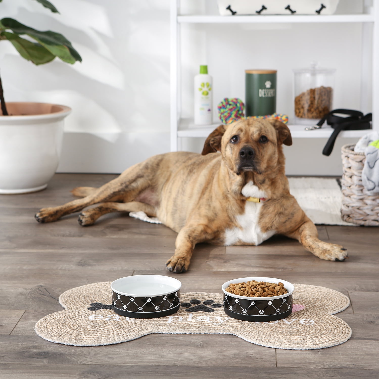 DII Pet Bowl Trellis Paw Black Medium 6Dx2H (Set of 2)
