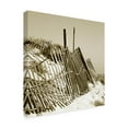 thumbnail image 2 of Trademark Fine Art 'Fences in the Sand I' Canvas Art by Noah Bay, 2 of 4