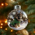 thumbnail image 4 of 2026 Winter Series Handmade 2D Flat Plate Animal Transparent Acrylic Festival Seasonal Natural Decorative Hangs, 4 of 4