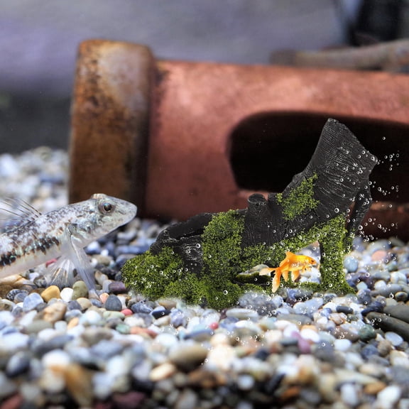 HAKIDZEL 1Pcs Aquarium Landscaping Tree Root Decor 7.9X5.9X4.5In Fish Hideout Place Assorted Color