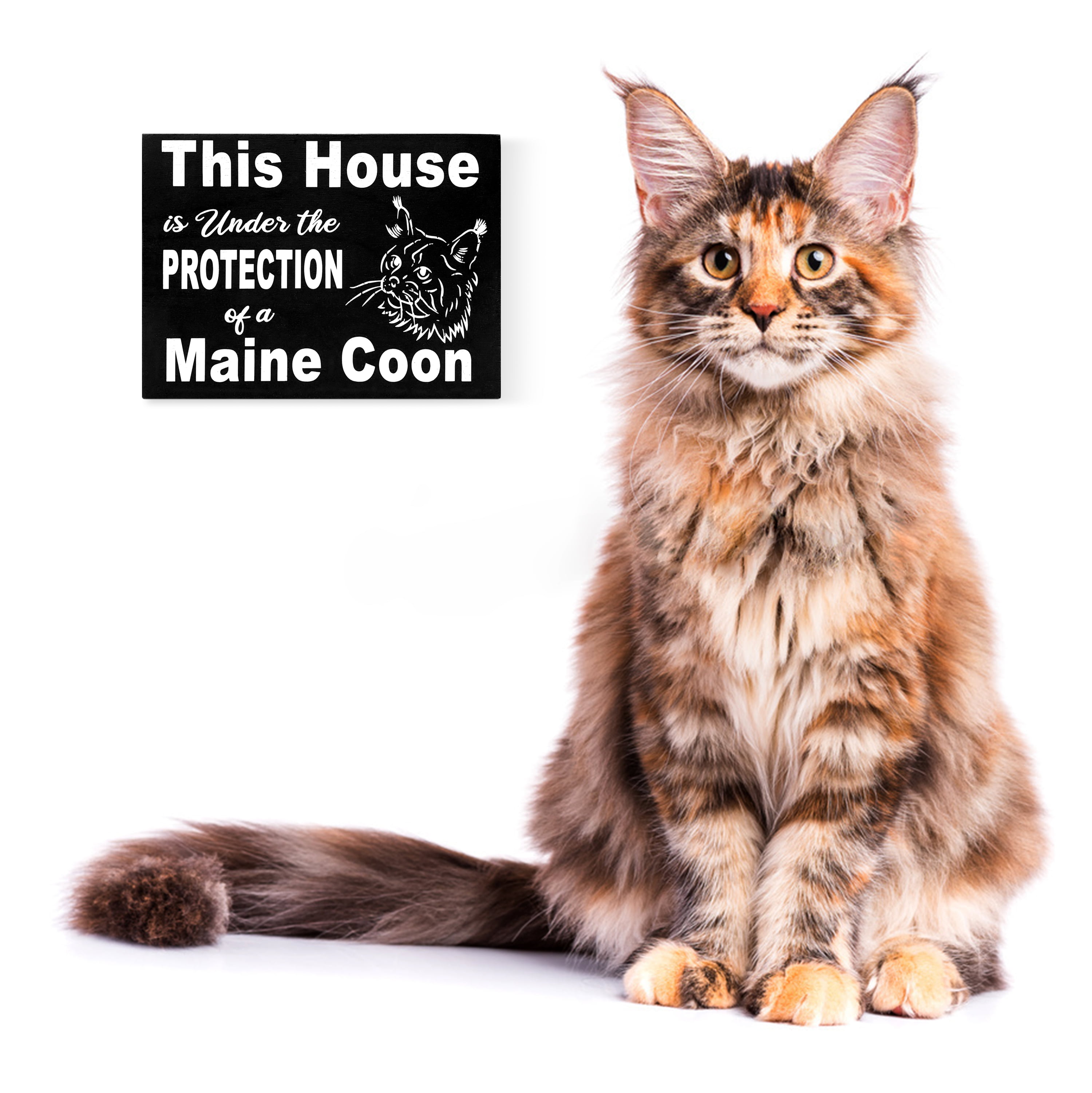 USA This House is Under The Protection of A Maine Coon Cat Maine Coon Cat Gift Sign JG Maine Coon Cat Sign Maine Coon Cat Mom Gift
