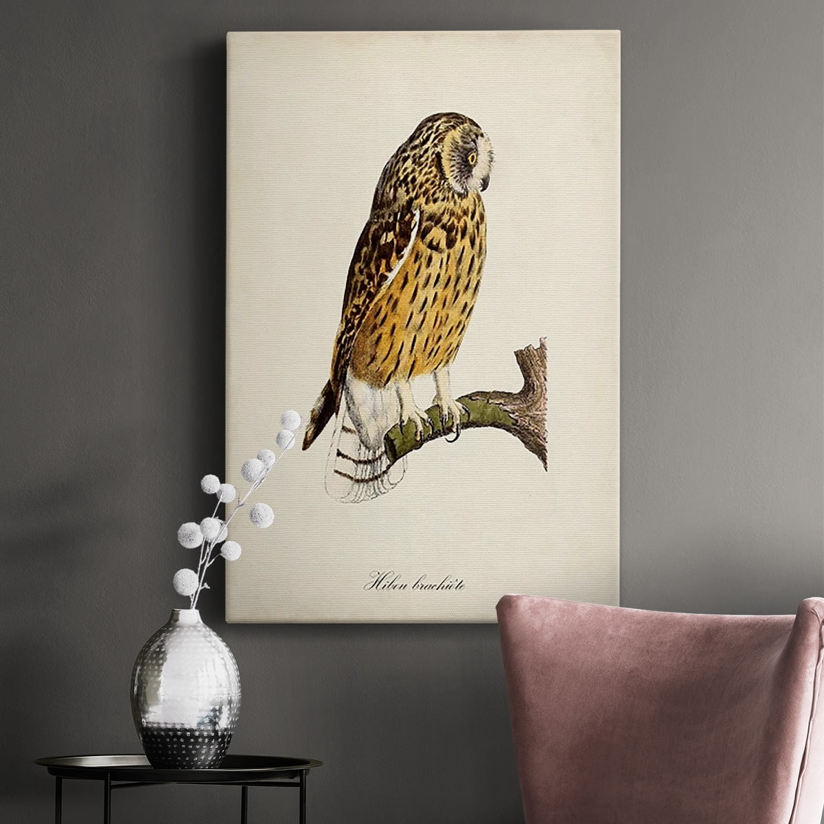 French Owls II Premium Gallery Wrapped Canvas - Ready to Hang