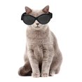 thumbnail image 4 of Gafas para perros, mascotas, pequeñas, medianas, ajustables, impermeables, gafas de terre, disfraz de , gafas, suministros de protección contra la Negro Marco Gris Len Yinane Mascotas gafas, 4 of 6
