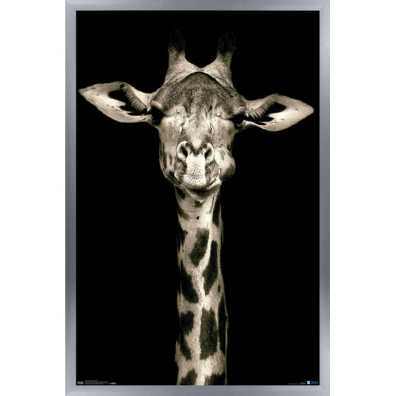 Portrait of a Giraffe Wall Poster, 22.375" x 34", Framed