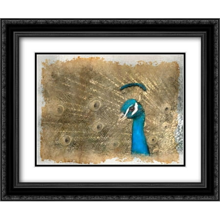 Allen Antique Lighting - Antique Peaccock 2x Matted 24x20 Black Ornate Framed Art Print by Allen, Kimberly