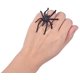thumbnail image 3 of Anillos de araña 200 piezas 1,96" (Aprox. 4,4 cm) Spid de plástico negro, 3 of 4