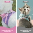 thumbnail image 6 of AIITLE Step in Dog Harness and Leash Set for Walking - Adjustable Dog Harness with Padded Vest for All Weather, Reflective Adjustable Pet Harness, Easy to Put on Small Dogs Pink S, 6 of 6