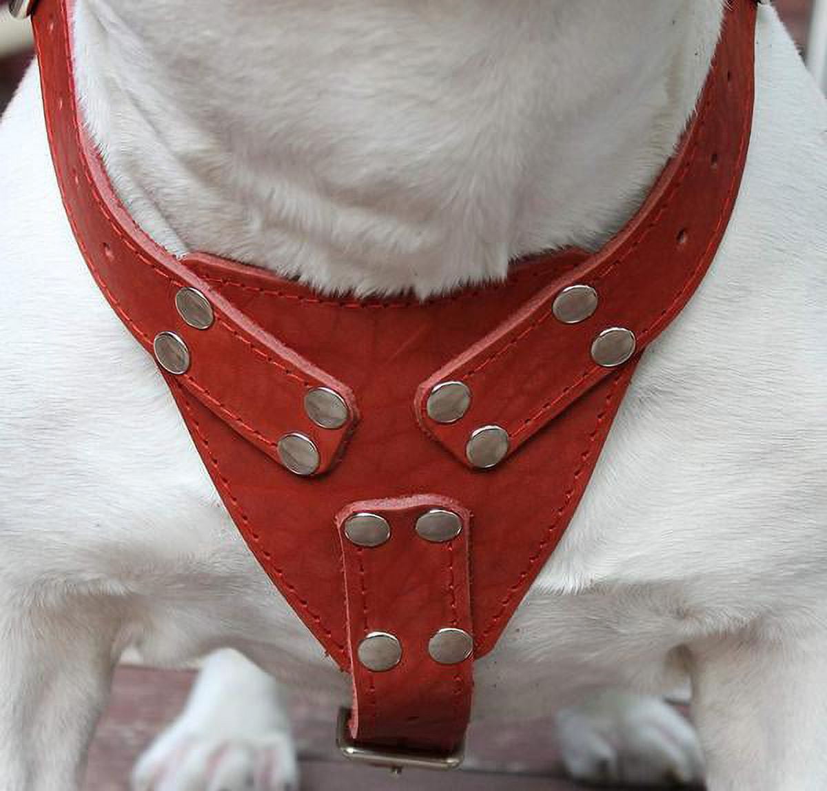 Red Genuine Leather Dog Harness, Large to Xlarge 33"-37" Chest, 1.5" Wide Straps Rottweiler Mastiff