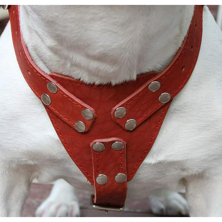 Dog hot sale harness rottweiler