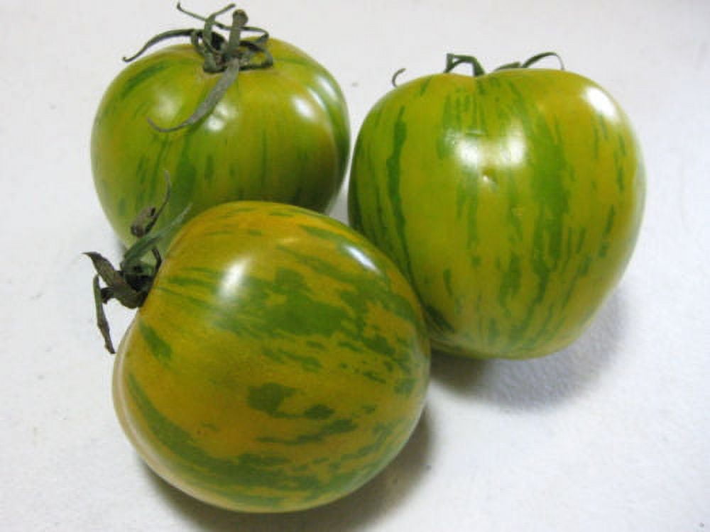 Tomato  True Leaf Market | True Leaf Market Seed Company