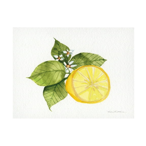 Trademark Fine Art 'Citrus Garden IX' Canvas Art by Kathleen Parr McKenna