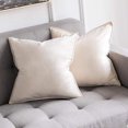 thumbnail image 1 of Cterwk - Juego de 2 fundas de almohada de terciopelo con cremallera, 45 x 45 cm, decorativas, suaves y lisas, para sofá cama o sofá., 1 of 7