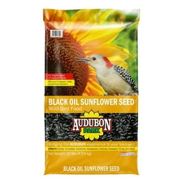 Where to Buy Wild Bird Seed in Bulk: Top Trusted Sources