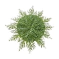 thumbnail image 2 of Tyidzon Christmas Pine Placemat, Artificial Round Greenery Placemat Reusable for Christmas Party Decorations, 2 of 7