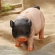 thumbnail image 1 of Piggy Bank with Large Storage for Money, 1 of 4