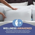 thumbnail image 4 of Continental Bedding P550-Med-Q2 Bed Pillow, Queen (Pack of 2), White 2 Count, 4 of 9