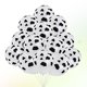 thumbnail image 3 of 35 globos de látex blanco y negro con estampado de vaca de 12 pulgadas, accesorios fotográficos para fiestas, festivales y cumpleaños., 3 of 7