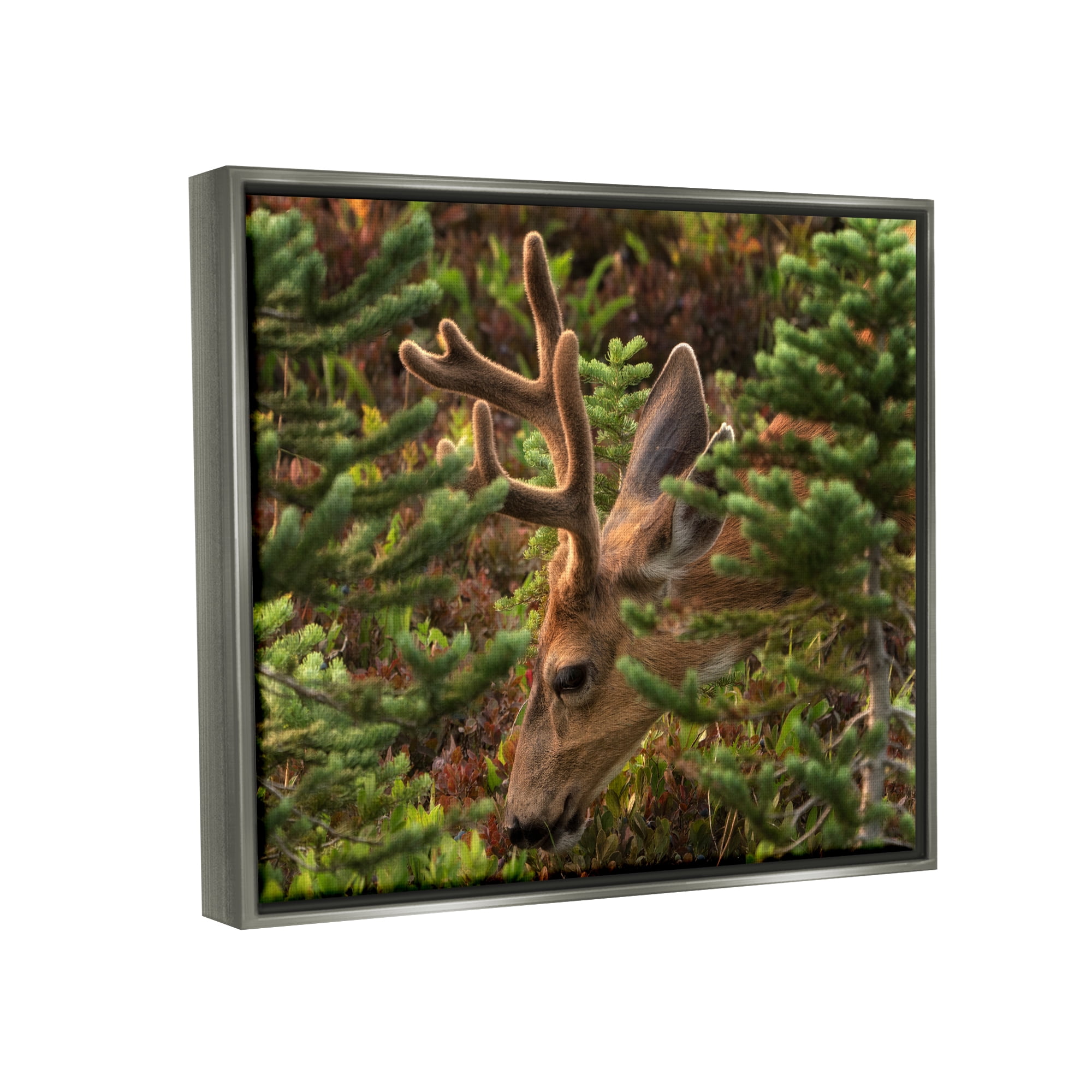 Stupell Industries Deer Forest Nature Vegetation Animals & Insects Photography Gray Floater Framed Art Print Wall Art