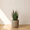 Brown, variant on Ecobo 13.4 inches Eco-Friendly Round Pot Planter, Linhas Indoor/Outdoor use, Durable, Versatile & Lightweight, Designed by Brazilian Artisans, Contemporary All-Weather Design - Black