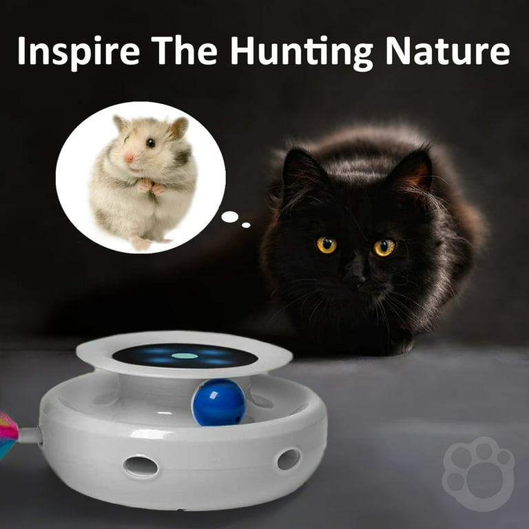 IOKHEIRA Interactive Cat Toy, Cat Toys for Indoor Cats Interactive, Ca –  KOL PET
