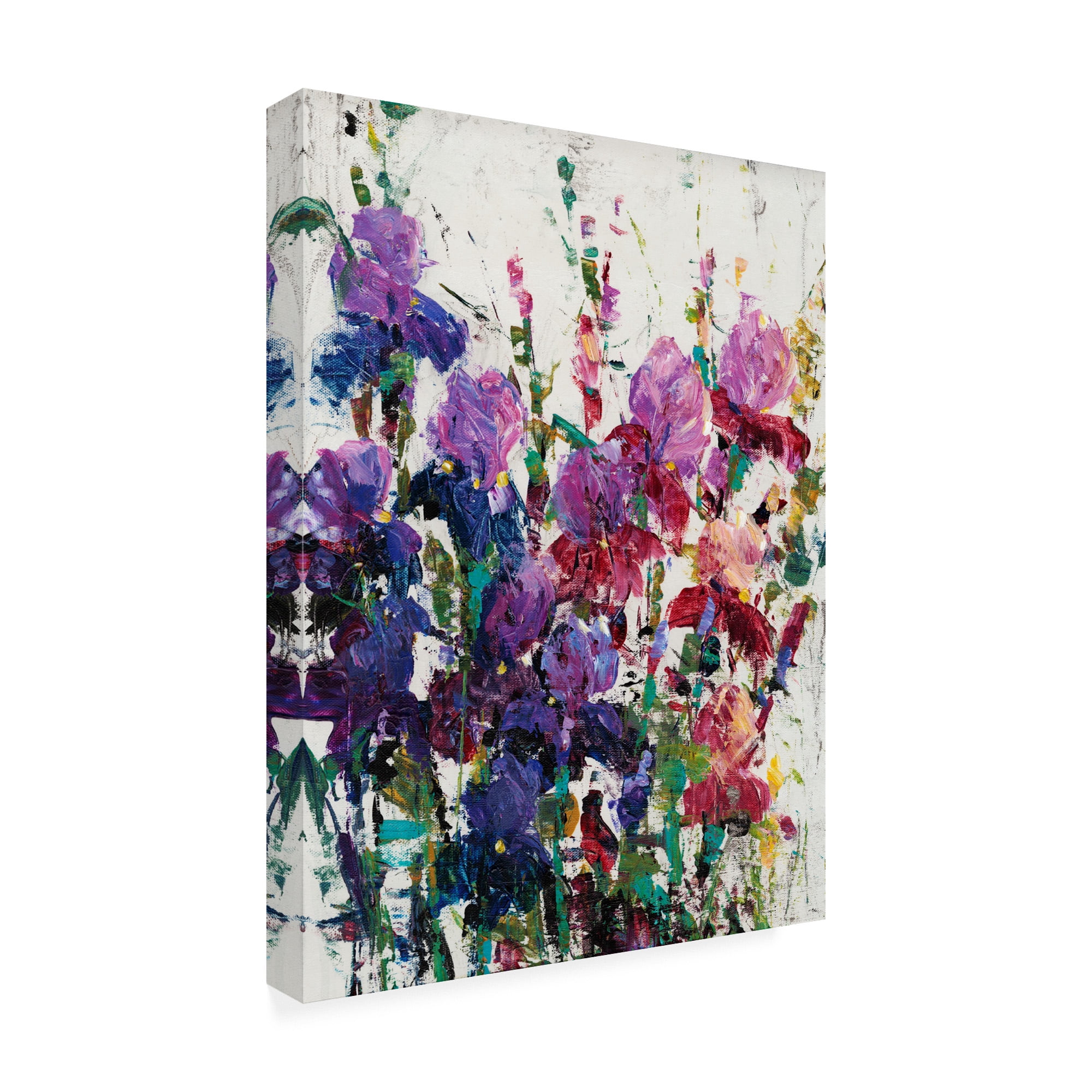 Trademark Fine Art 'Iris Blooming II' Canvas Art by Tim OToole